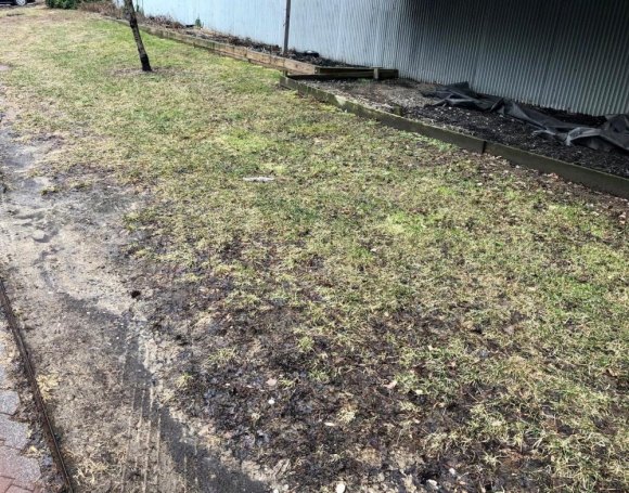 PS/IS 217 Strengthens Its Hold As Roosevelt Island's Worst Neighbor Once vibrant flower beds abandoned.